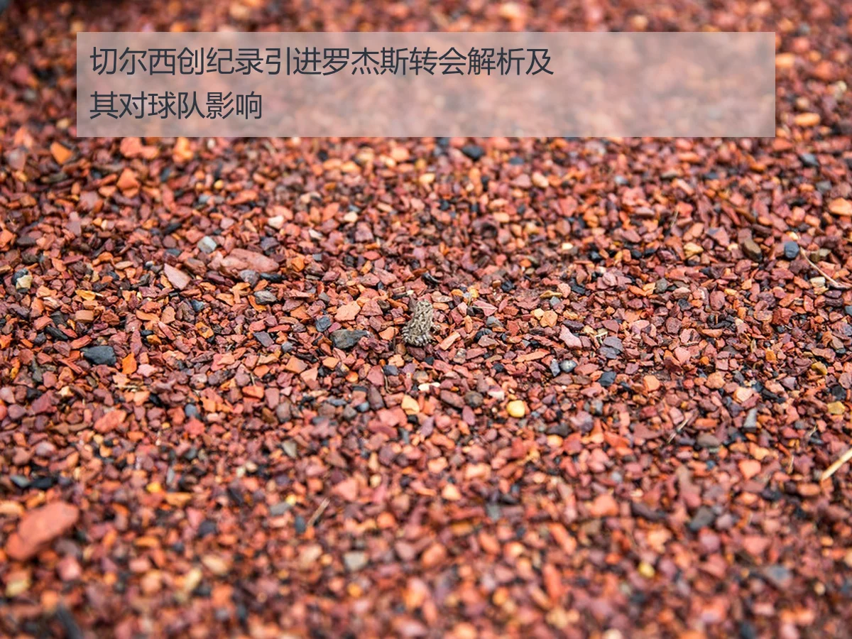 切尔西创纪录引进罗杰斯转会解析及其对球队影响